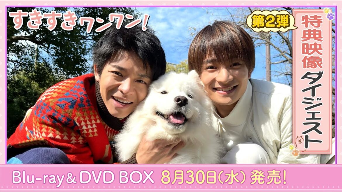 【第2弾🐾特典映像ダイジェスト公開🐶】岸優太 主演、浮所飛貴 出演『すきすきワンワン!』Blu-ray & DVD BOX 8月30日(水)発売!
