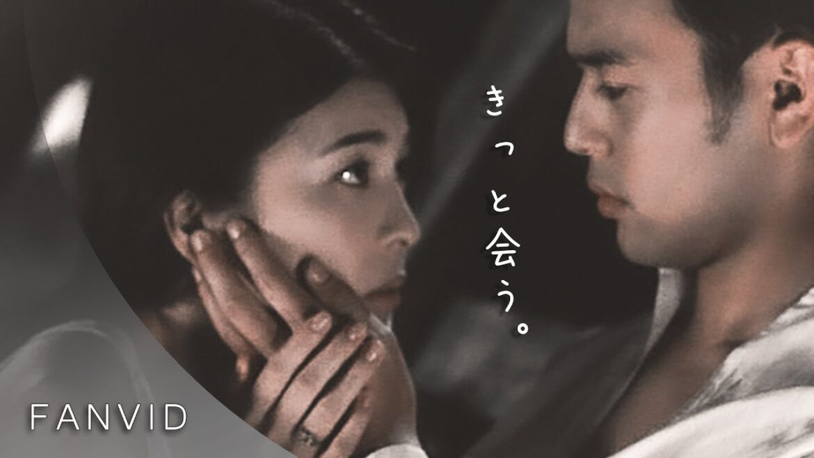 竹内結子 | きっと会う【春の雪FMV】