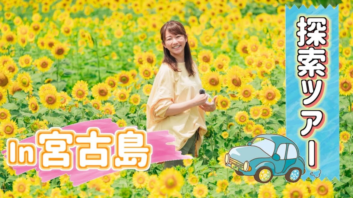 想像以上にレポ下手でした
