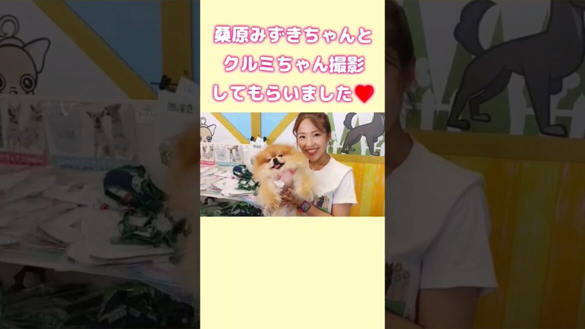 【お台場冒険王2023】で桑原みずきちゃんとクルミちゃん#shorts