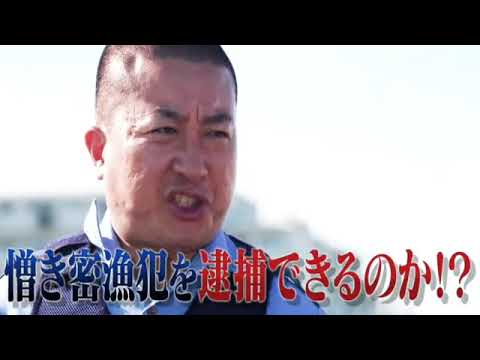 🔴ライブ配信 THE突破ファイル8月31日<人体ミステリー/海パン刑事/大泉洋>2023年8月31日LIVE FULL HD