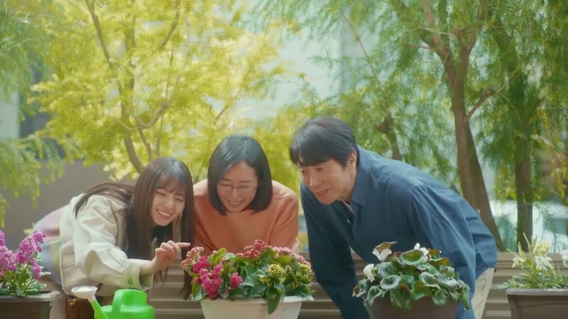 ドラマ&映画「マイホームヒーロー」禁断の実写化決定!超特報解禁―。