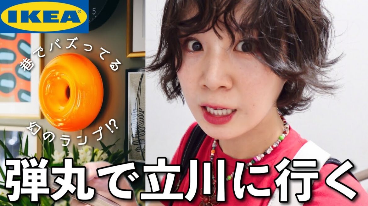 【IKEA】幻のおしゃれランプを求め、いざ弾丸立川旅!