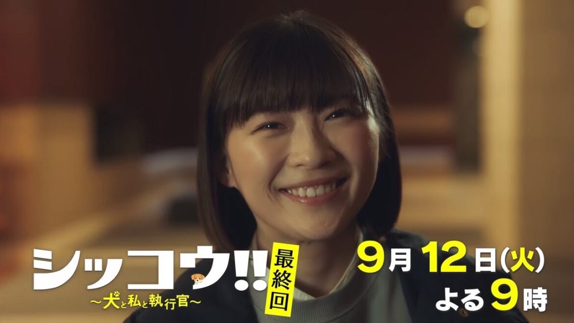 『シッコウ!!~犬と私と執行官~』9月12日(火)よる9:00~/最終回 予告動画(30秒)