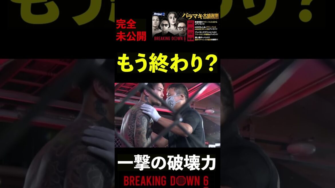 【ブレイキングダウン6】一撃でフェンス際まで吹っ飛ばすパンチ力 #shorts 【BreakingDown 切り抜き】