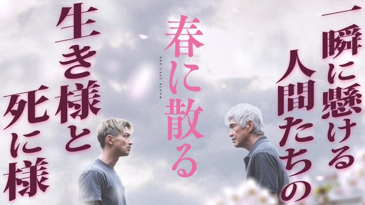 【#229】一瞬に生きる者たちの輝き『春に散る』大特集!