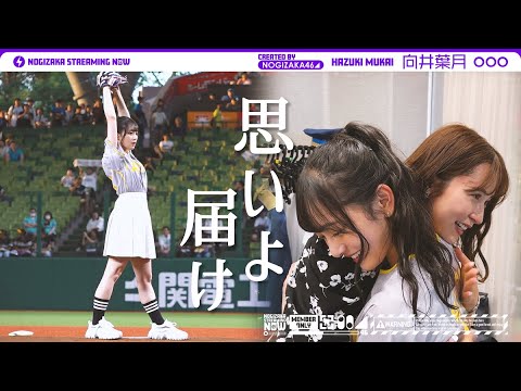 【夢が叶った1日】大好きなライオンズの試合で想いを込めてマウンドに立たせていただいた向井葉月に密着!