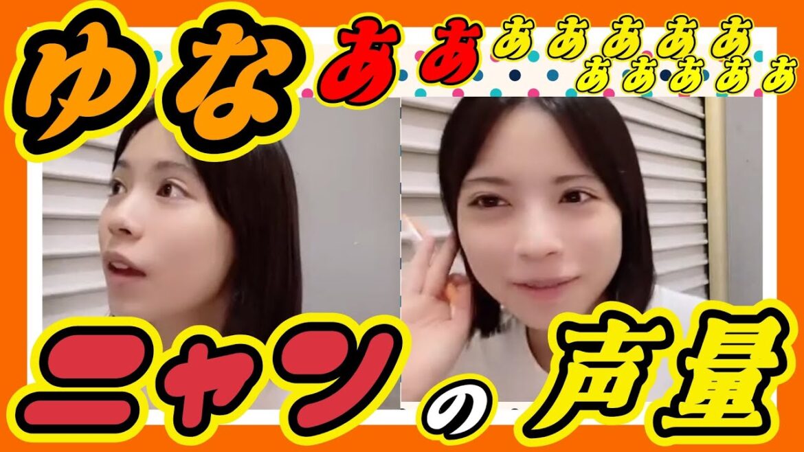 わかニャンの声量は楽屋のどこに居ても聞こえます。スタッフさんとのやり取りはみよじ。 2023年08月12日 【平山真衣/隅野和奏】【SHOWROOM/NMB/切り抜き】