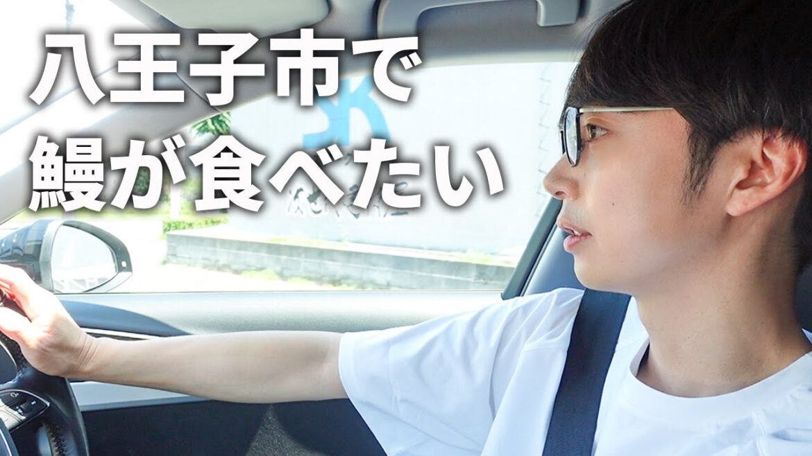 【ドライブ】金田のアウディで八王子を【はんにゃ金田】