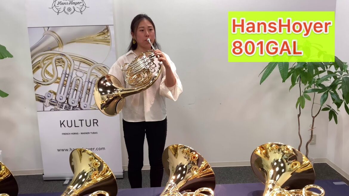 HansHoyer 801GAL