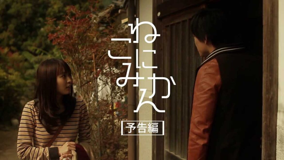 映画『ねこにみかん』予告編