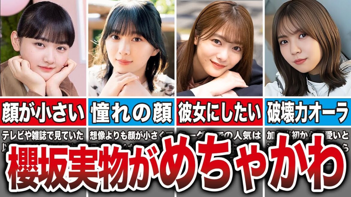 【衝撃】テレビよりも実物が可愛かった櫻坂メンバー10選(山﨑天、森田ひかる、田村保乃、小林由依、他)