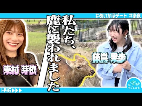 【奈良観光】東村芽依とガチデートしてみたら男前すぎて惚れ直した【めいかほ】