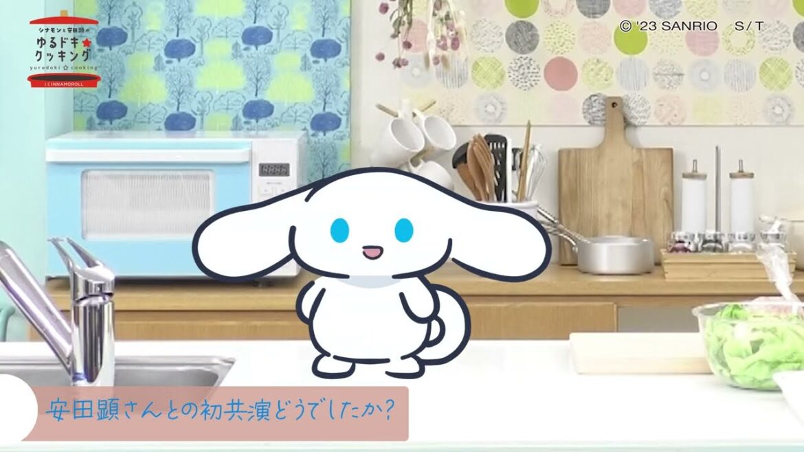 新番組「シナモンと安田顕のゆるドキ☆クッキング」~シナモン単独インタビュー~