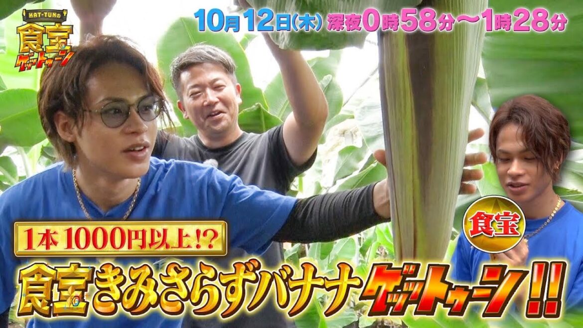 食宝きみさらずバナナ!上田くんご対面&実食!!『KAT-TUNの食宝ゲッットゥーン』10/12(木)【TBS】