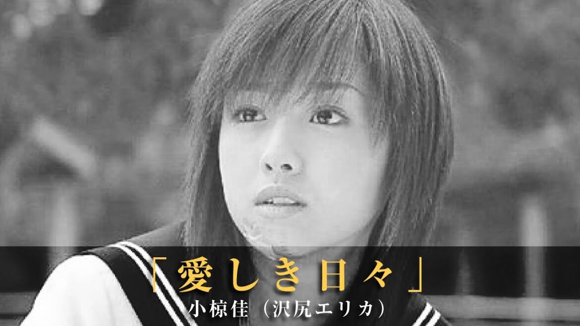「愛しき日々」小椋佳(沢尻エリカ)