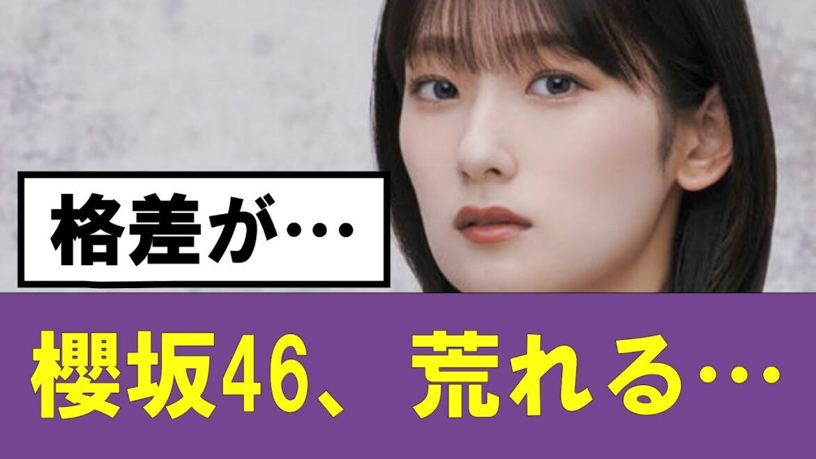 【櫻坂46】backsメンバー推しのファンがブチ切れ…#櫻坂46 #そこ曲がったら櫻坂 #承認欲求 #森田ひかる #山﨑天 #藤吉夏鈴 #sakurazaka46 #土生瑞穂 #欅坂46