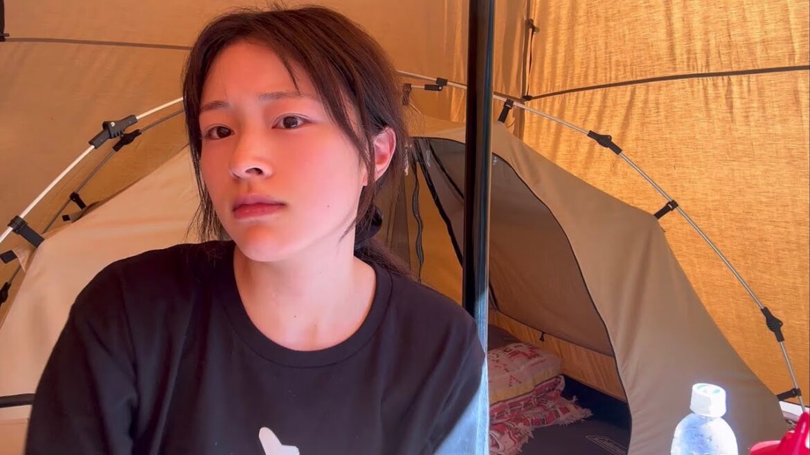 今回はとんでもないよ