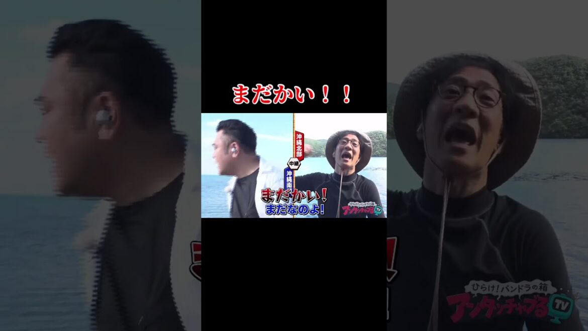 【まだかい!!】#アンタッチャブるtv #アンタッチャブル #山崎弘也 #柴田英嗣 #ヤンバルクイナ #short