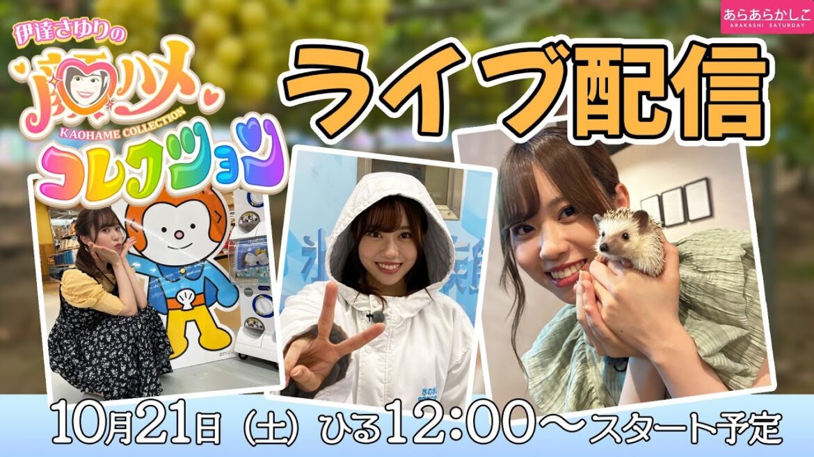 「伊達さゆりの顔ハメコレクション」2023年度上半期をまったり振り返る生配信🍠【10月21日(土)12時~】