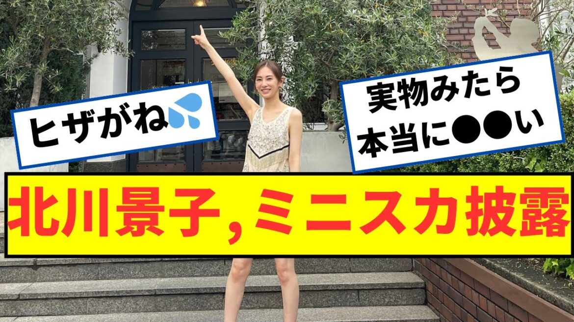 北川景子さん、本気出した結果ww【2ch5chなんjネットの反応】