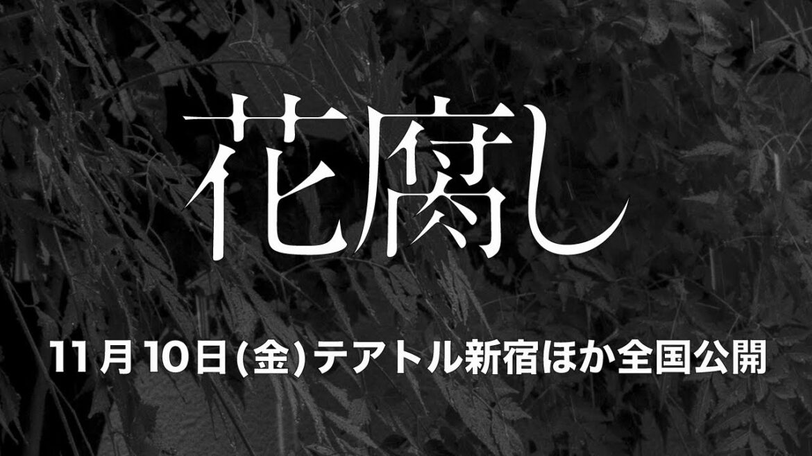 「花腐し」予告編(11月10日(金)全国公開)