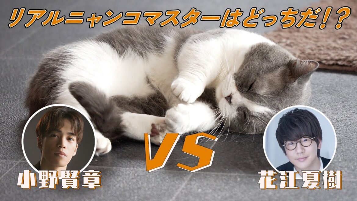 賢章&夏樹、ひたすらニャンコと戯れる…!【どっぷり神コラボ第③弾】