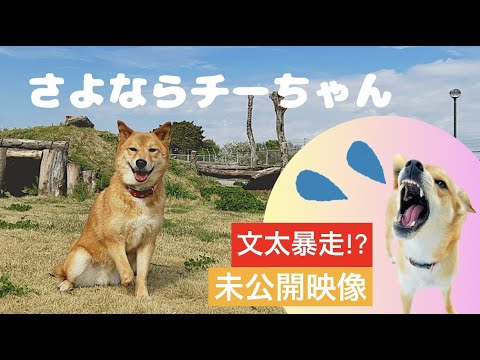【さよなら】チー卒業特集&文太大暴れの未公開映像!