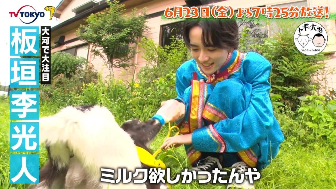 ヤギが主役の旅番組がまさかのレギュラー化!千鳥大悟がヤギと雑草モグモグ旅。