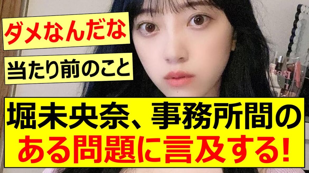 堀未央奈、事務所間のある問題に言及する!【乃木坂46・元乃木坂】