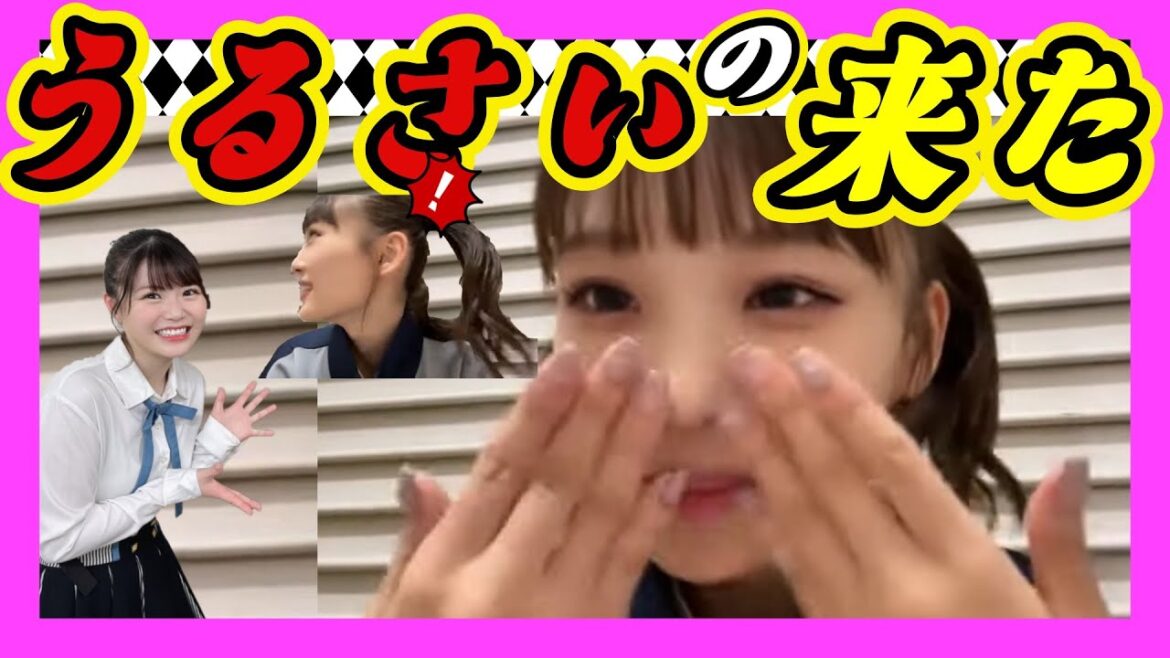 うるさいのがやって来ました。最近○○○にハマってる『しんしん』。『ゆいな』が来たから赤ちゃん泣き始めた。 2023年10月06日 【出口結菜/新澤菜央】【SHOWROOM/NMB/切り抜き】
