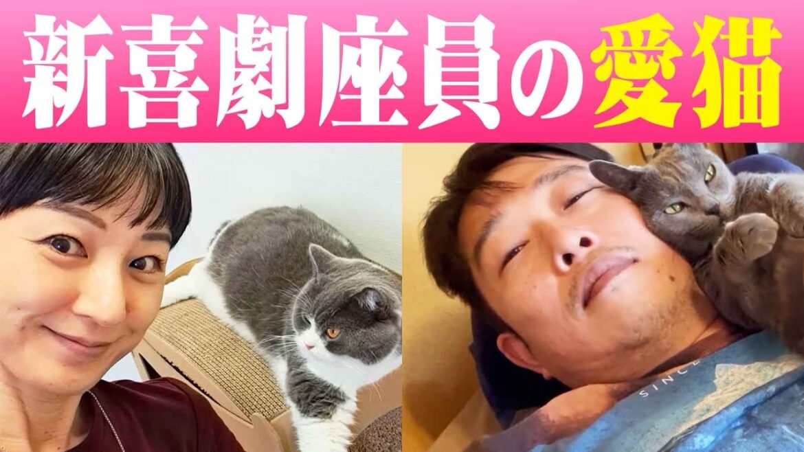 ネコちゃん大好き座員の愛猫ご紹介🐈😺😻