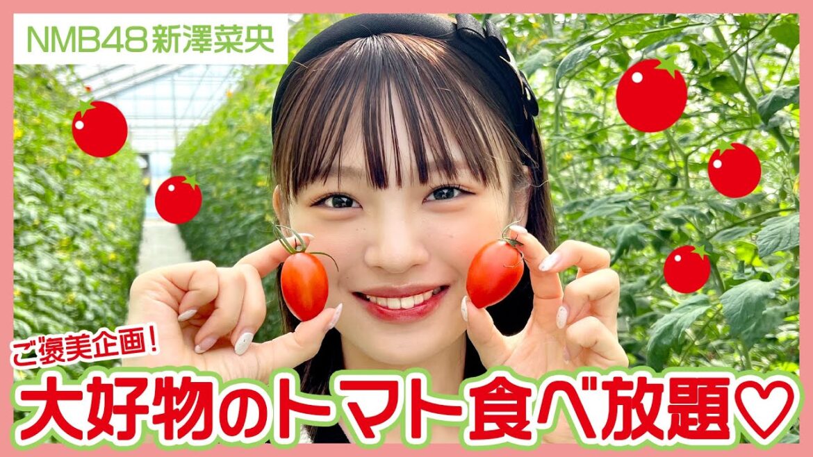 【踊ってみた15万回再生突破記念】NMB48新澤菜央が愛してやまないトマト食べ放題!!🍅糖度10度以上!おいしすぎるトマトを見つけてしまいました🍅【トマフル】