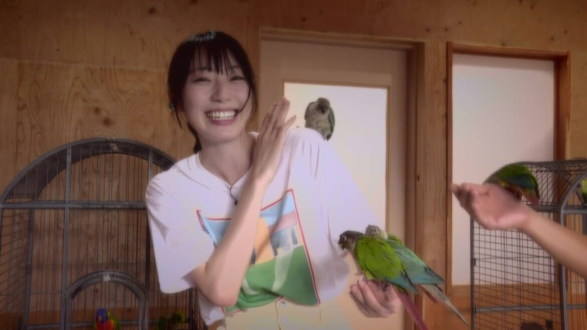 【松井咲子】:深谷花鳥カフェ(フクロウ・爬虫類・猛禽 腕乗せチャレンジ) おとな散歩