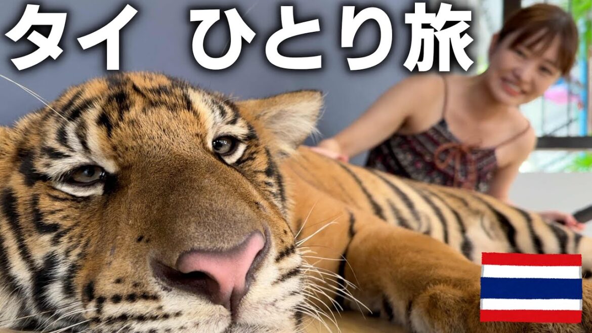 タイvlog|動物たちとあり得ない距離でたくさん会えた日