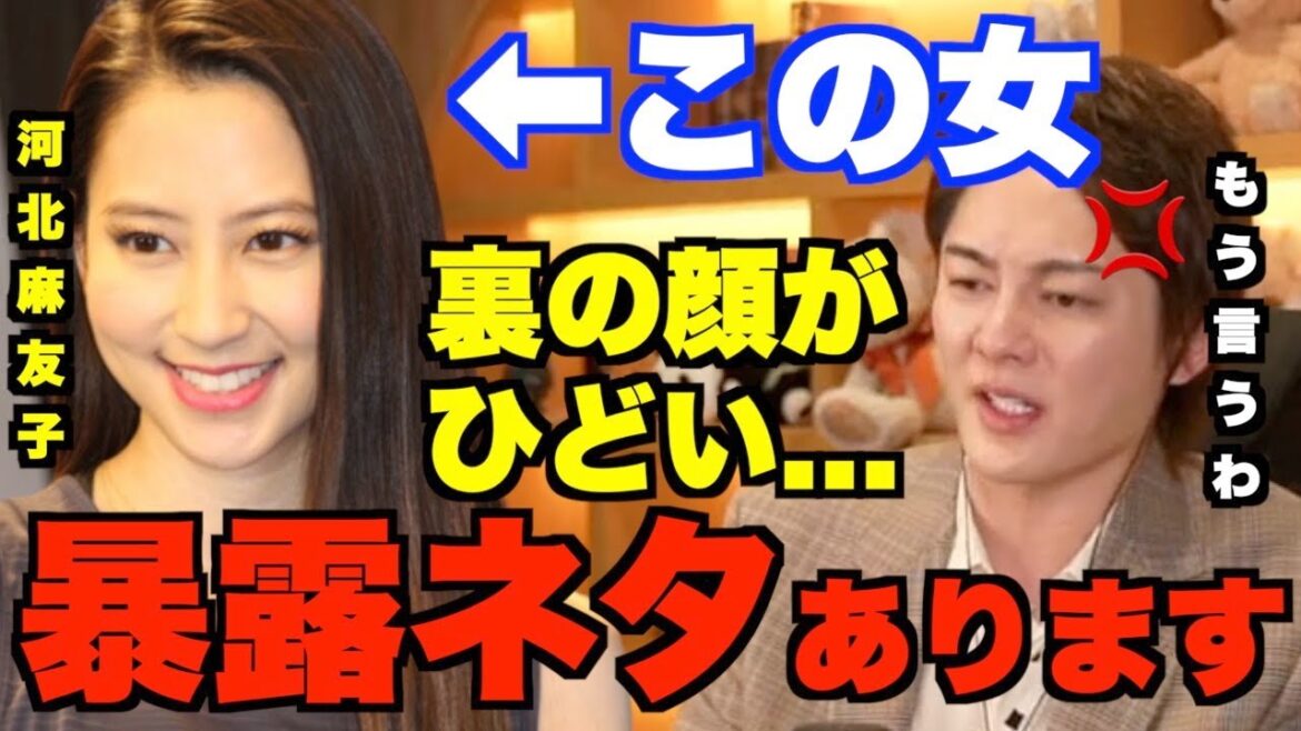 【河北麻友子】この女裏ではとんでもない事やってますよ…ヤバい暴露ネタがある。ガーシーさんの力で芸能界の闇を一新してほしい【青汁王子 切り抜き 河北麻友子 ガーシー 暴露】