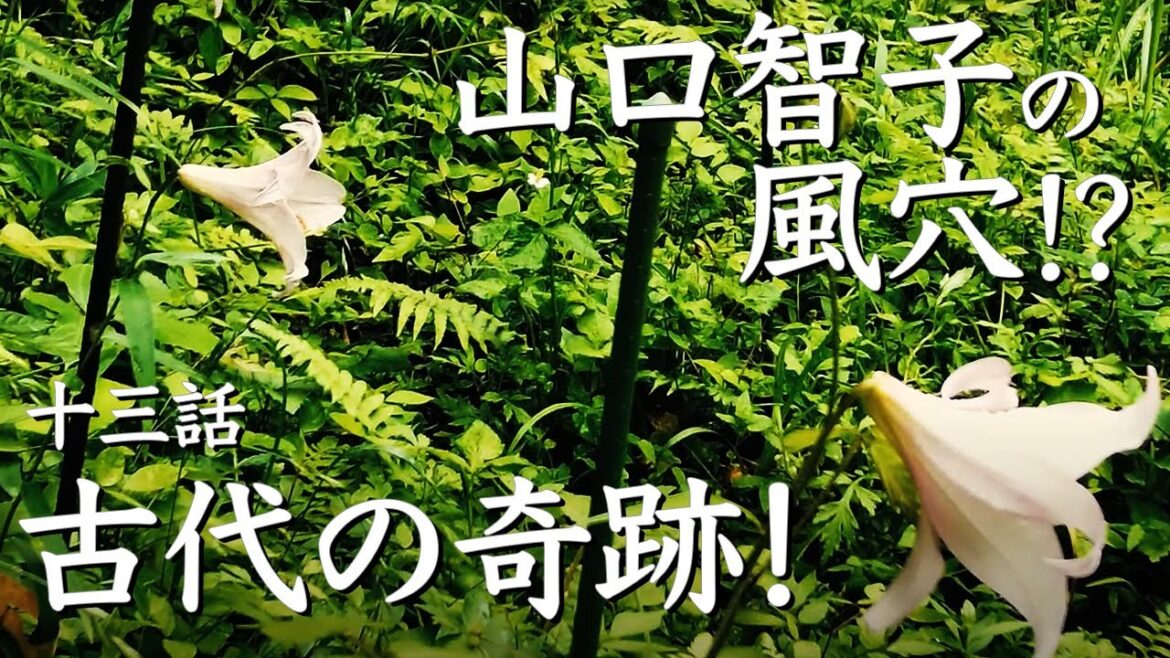 古代人は知っていた!発酵の神秘 13話 古代の奇跡!