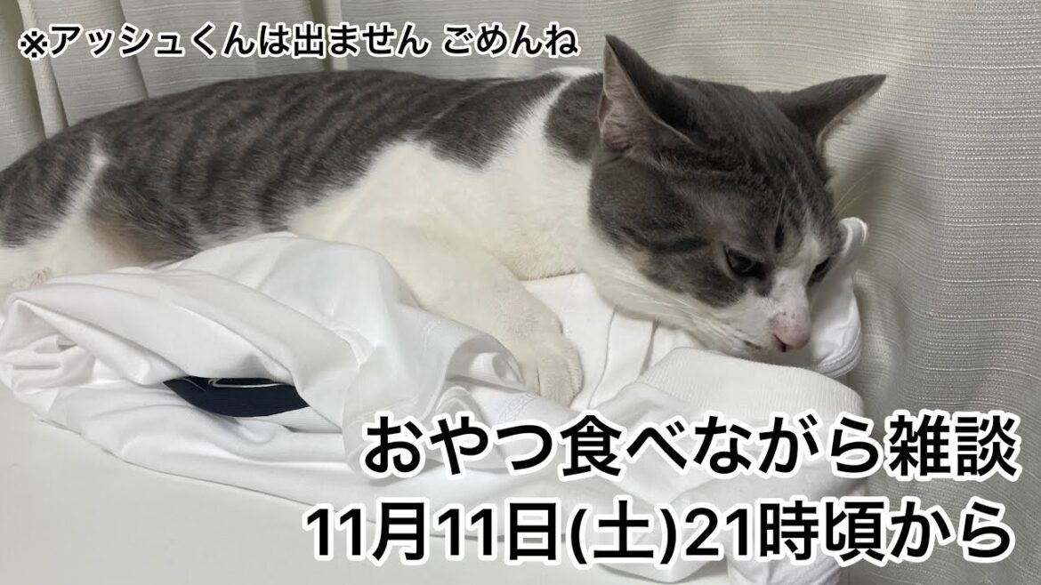 【第10回生配信】おやつ食べながら雑談【佐々木琴子】