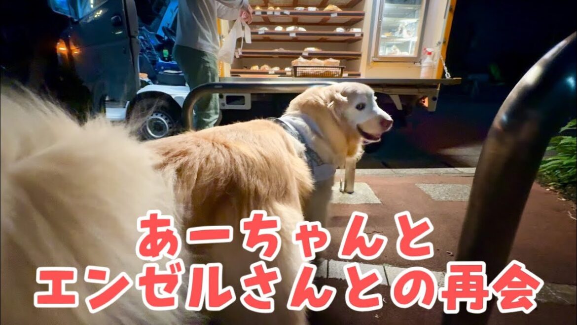 【感動のお買い物あーちゃん再び】富士山パワーでパン屋さんと再会/ にーちゃんの彼女に母もたじたじ