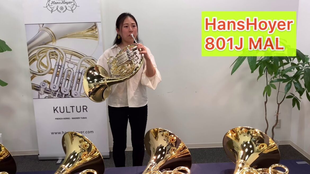 HansHoyer 801JMAL