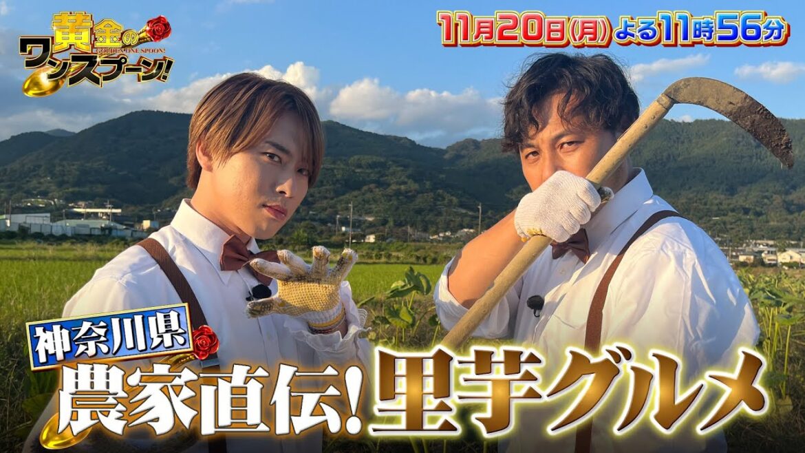 #SnowMan #宮舘涼太 舘様流 超エレガントな里芋料理『#黄金のワンスプーン!』11/20(月)【TBS】