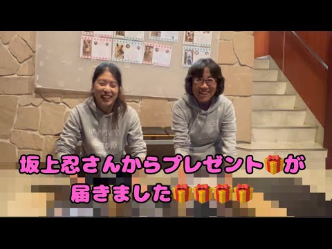 【お知らせ】坂上忍さんからプレゼント🎁が届いた#桑原みずきさん#保護っ子#里親募集#保護犬#保護猫