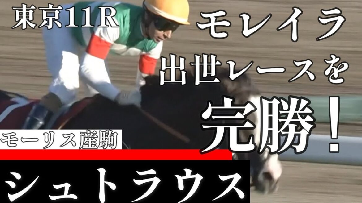 【今日競馬】重賞経験が有利に!早め押し切り快勝!モレイラ騎乗の《シュトラウス》東京11R【東京スポーツ杯2歳S(GⅡ)】2023/11/18