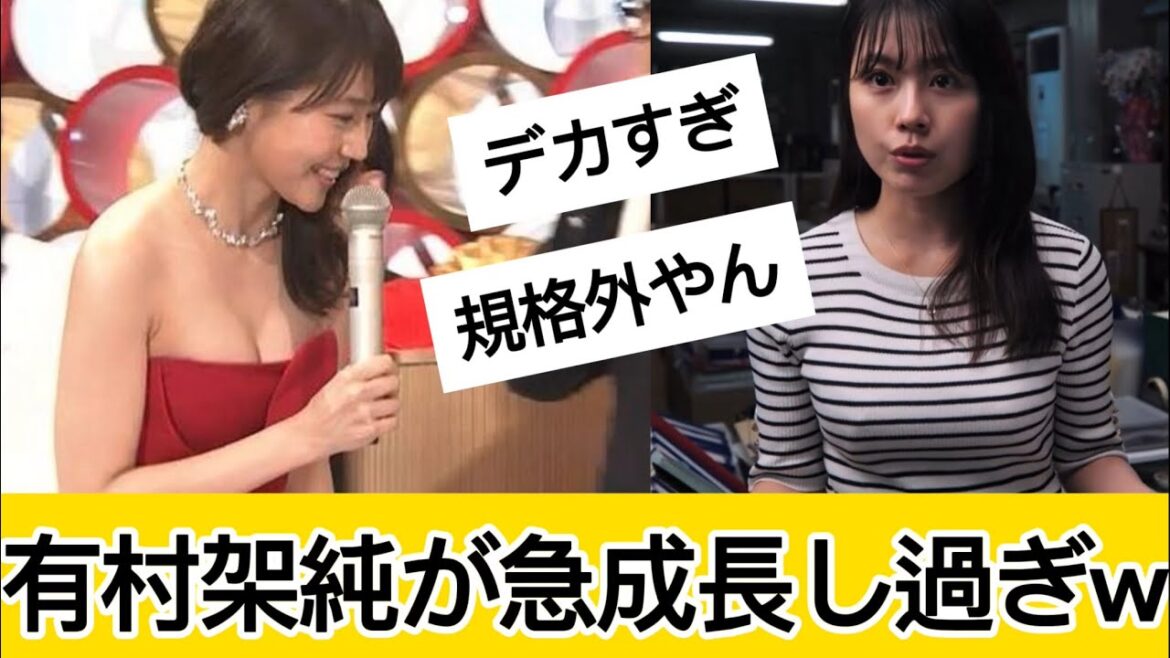 有村架純さんが世界一に対するネット民の反応 #5ch#2ch#なんj#グラビア