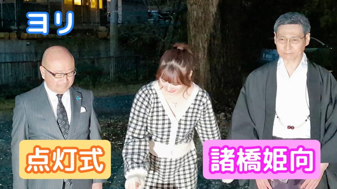 紅葉ライトアップ点灯式「オオイチョウ」諸橋姫向 ヨリ