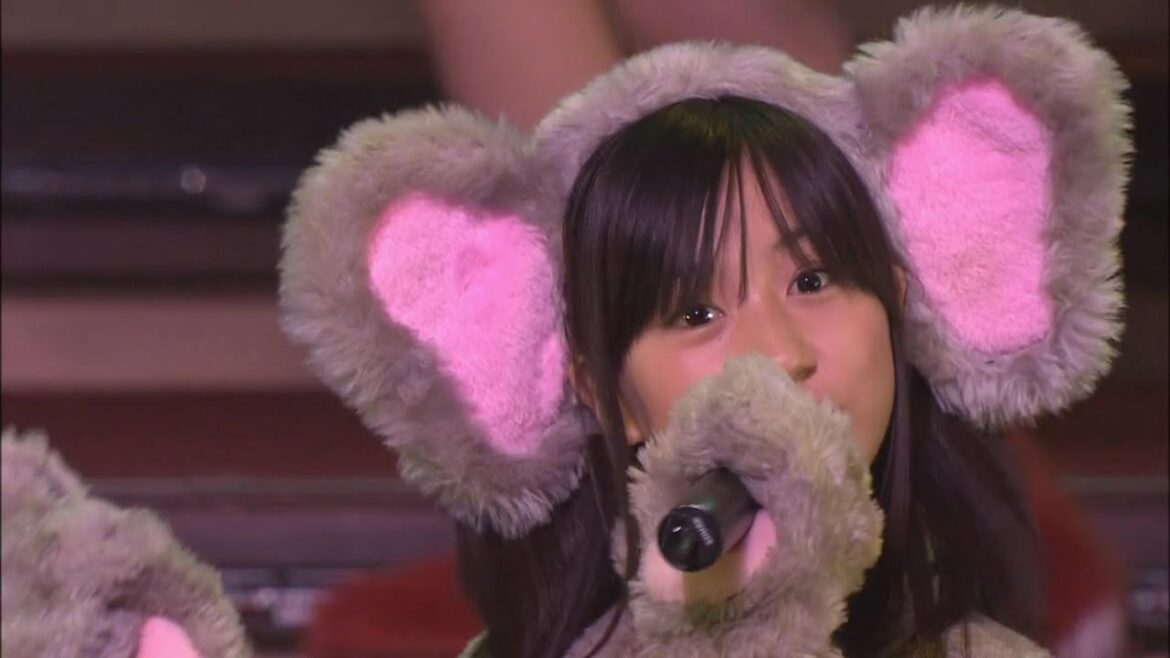 雨の動物園 2006