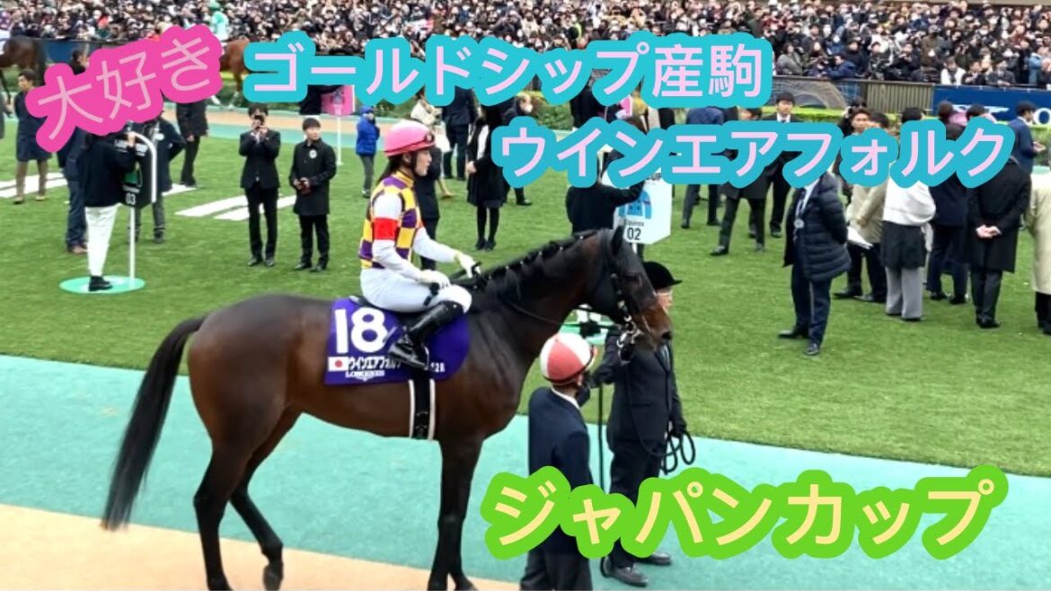 ゴールドシップ産駒 ウインエアフォルク 藤田菜七子騎手を乗せてパドック姿かっこよかった ジャパンカップ