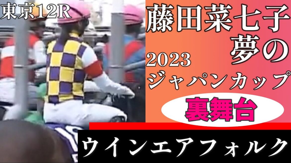 【藤田菜七子の裏舞台】ジャパンカップ日本人女性騎手初!夢の大舞台にウインエアフォルクと共に挑む!2023/11/26