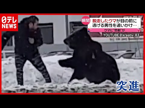 逃げる男性に突進するクマ!そのあと襲った“悲劇”とは? ロシア(2021年3月19日放送「news every.」より)