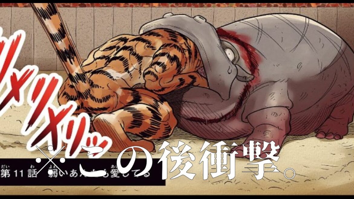 SOTA Mのラジオ配信VOL.9【ネタバレ注意!『動物最強王図鑑 ザ・ストーリー②』大感想会!3巻の内容考察も!?】